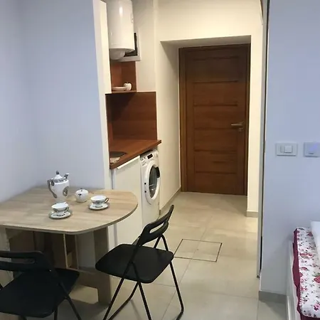 Studio Prazakova- 100m From The Train-bus Station ホームステイ